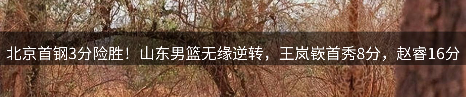 新闻简报