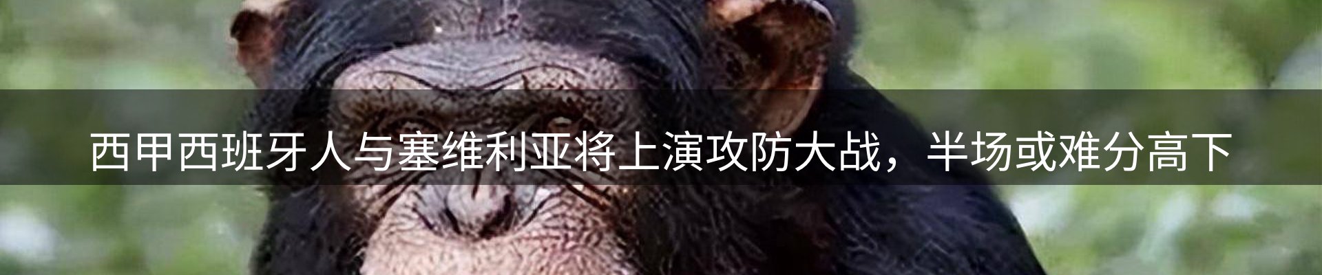 新闻简报